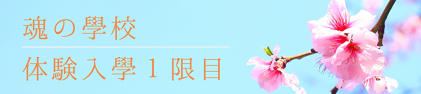 名称未設定のコピーのコピー (24).png