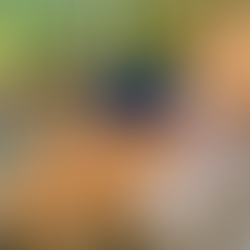 【動物の守り神】