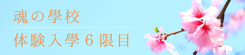 名称未設定のコピーのコピー (21).png