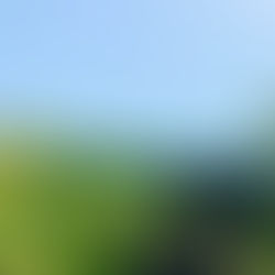 【どれだけ時間が過ぎても・・・】