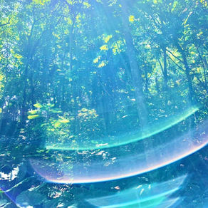 【色の言葉をあなたは受けている】