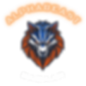 IMG_0336.PNG