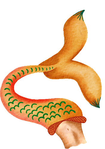 mermaid1.gif