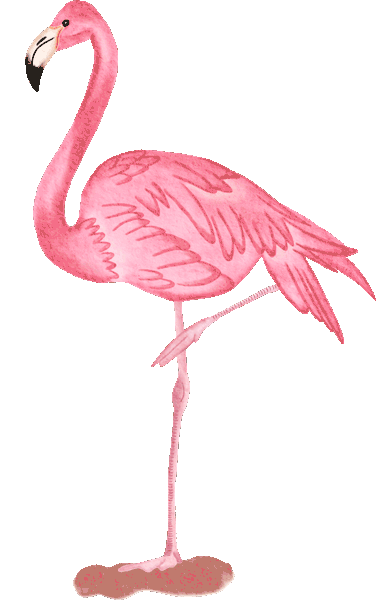 flamingo2.gif