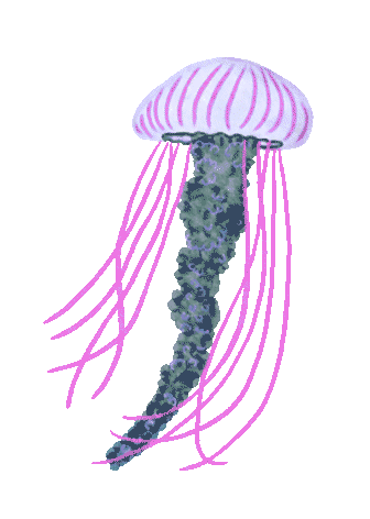jelly1.gif