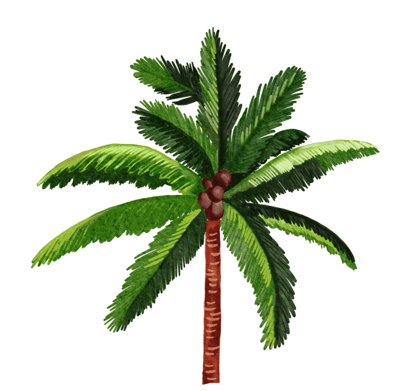 animated palm tree