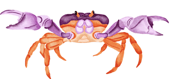 crab.gif