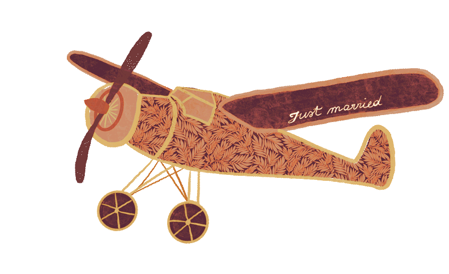 plane-orange.gif