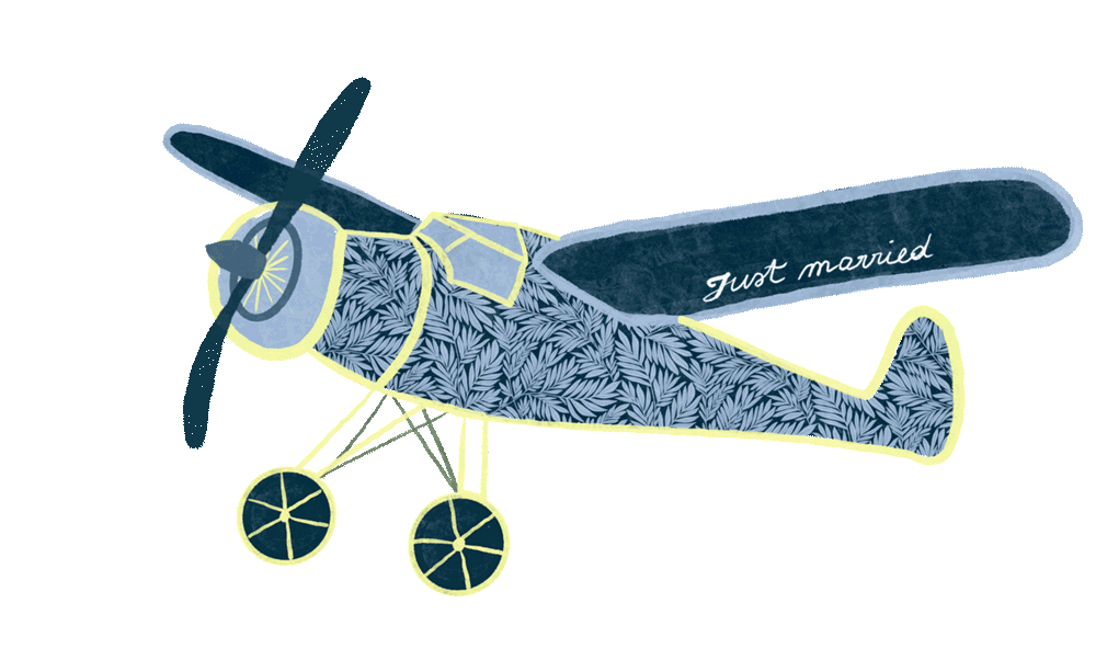 AIRPLANE.gif
