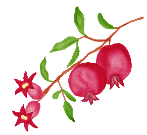 Pomegranateleft.gif