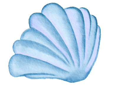 shell.gif