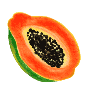 left-papaya.gif