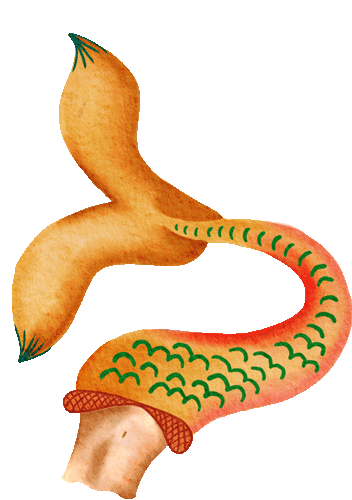 mermaid2.gif