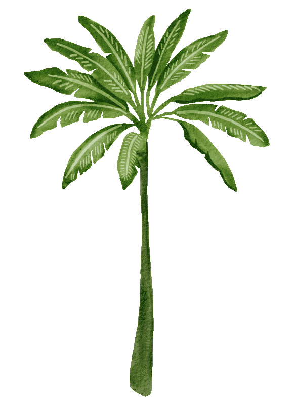 Palm_Tree_High_Res_PNG-copy_3.gif