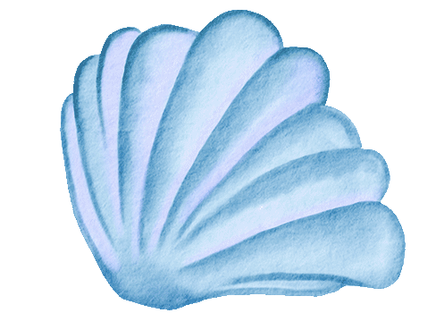 shell2.gif