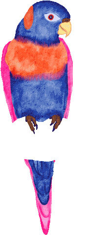 blue-parrot.gif
