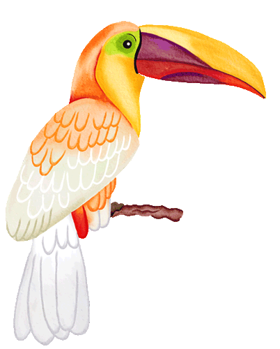 Albino_White_Toucan_Bird.gif