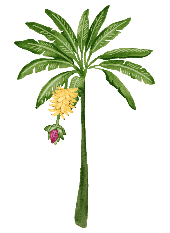 Palm_Tree_left.gif