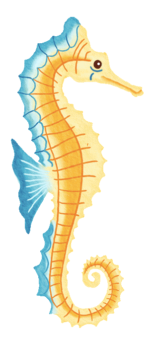 seahorse.gif