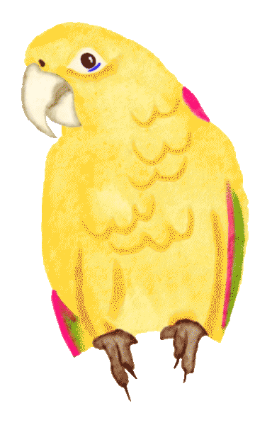 Yellow-Parrot.gif