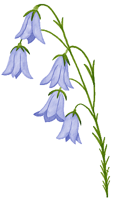 blue-flower-reverse.gif