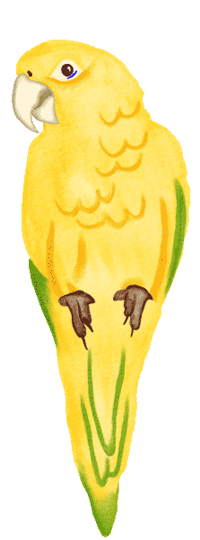 yellow-bird.gif