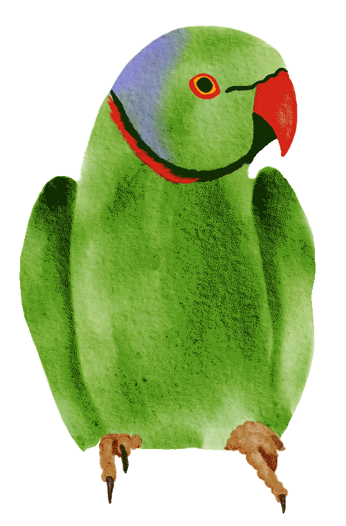 Parrot1.gif