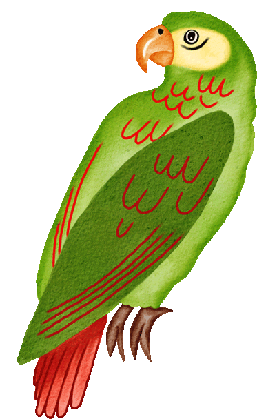 Parrot_Green.gif