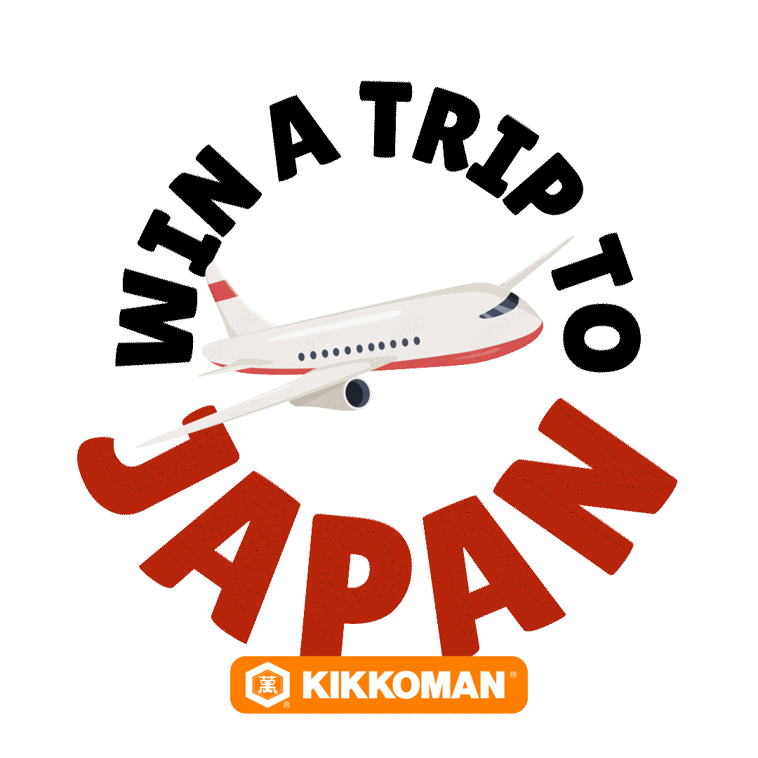 plane.gif