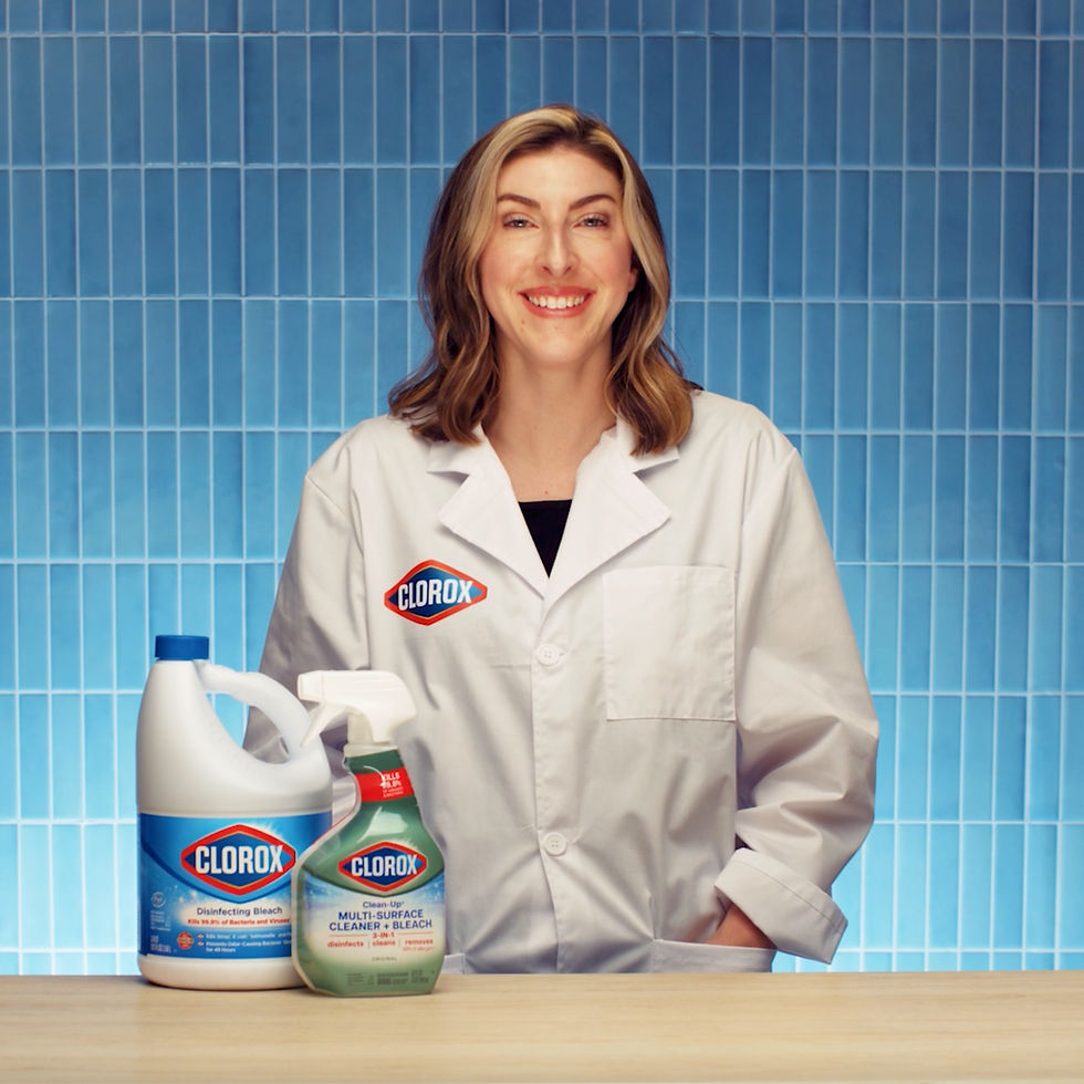 Clorox Mold & Mildew Campagin