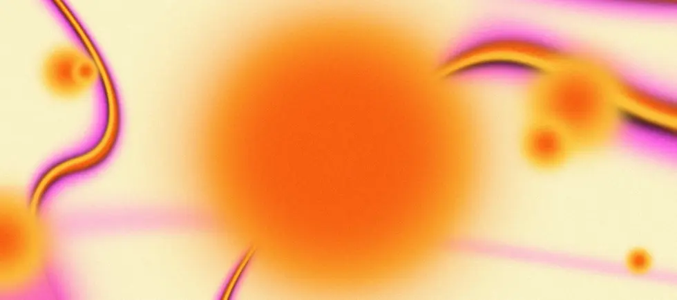 Artboard 2 copy.webp