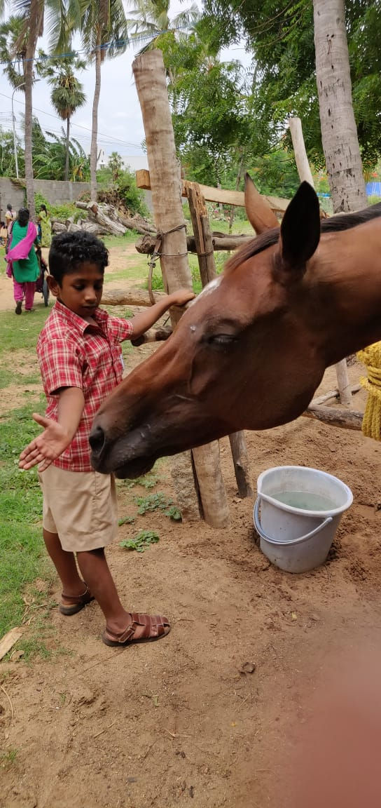 On a trip to the farm, student enjoys feeding horses