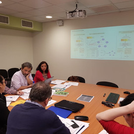 PROYECTO INTERNO UBO