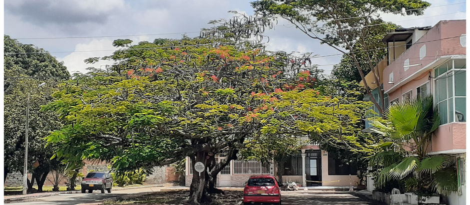 GALERÍA