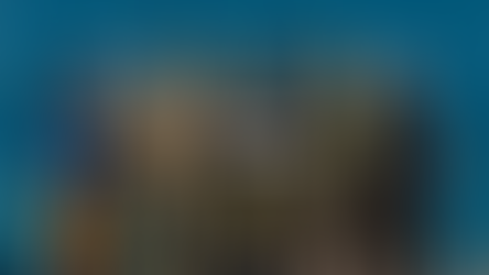 We handed over the thermal imager to the fighters: we continue to support Ukrainian defenders