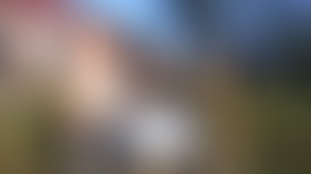 Another Starlink was sent to the front: video report