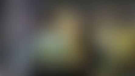 Tail help: the EU provides Ukraine with demining dogs