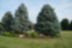 Lawn fertilization services in Shawnee KS