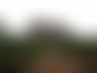 Top 10 Must-Visit Tourist Destinations in Bangalore