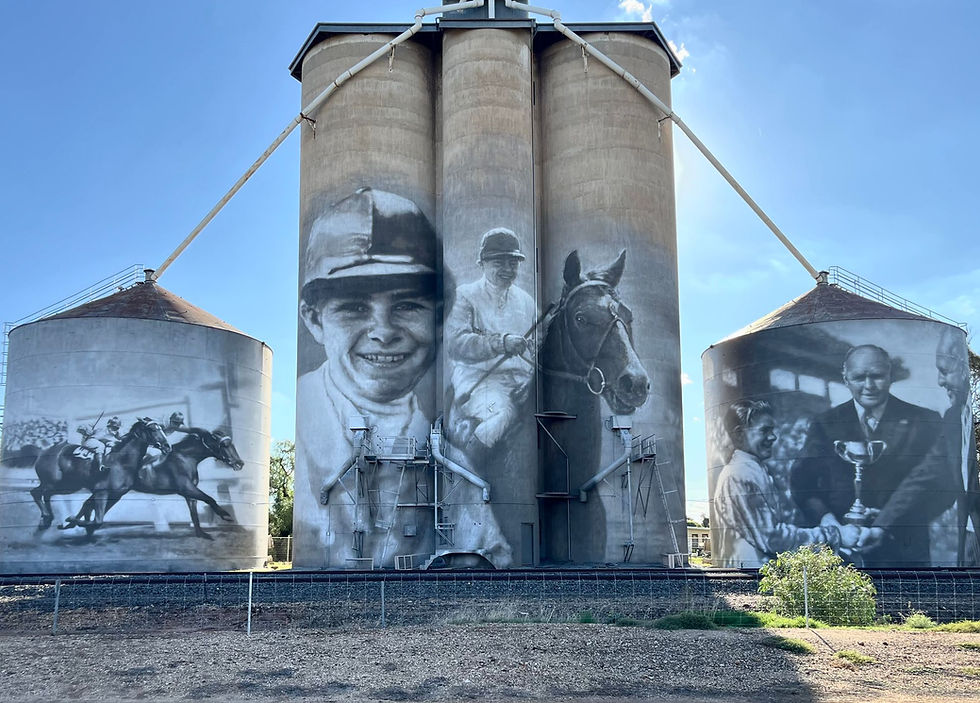 FROM GRAINCORP: Located in the heart of Victoria’s Mallee region, the town of Birchip has a population of just over 700 people but now features one of the most compelling local stories on the silo art trail. IMAGE: Kyle Torney