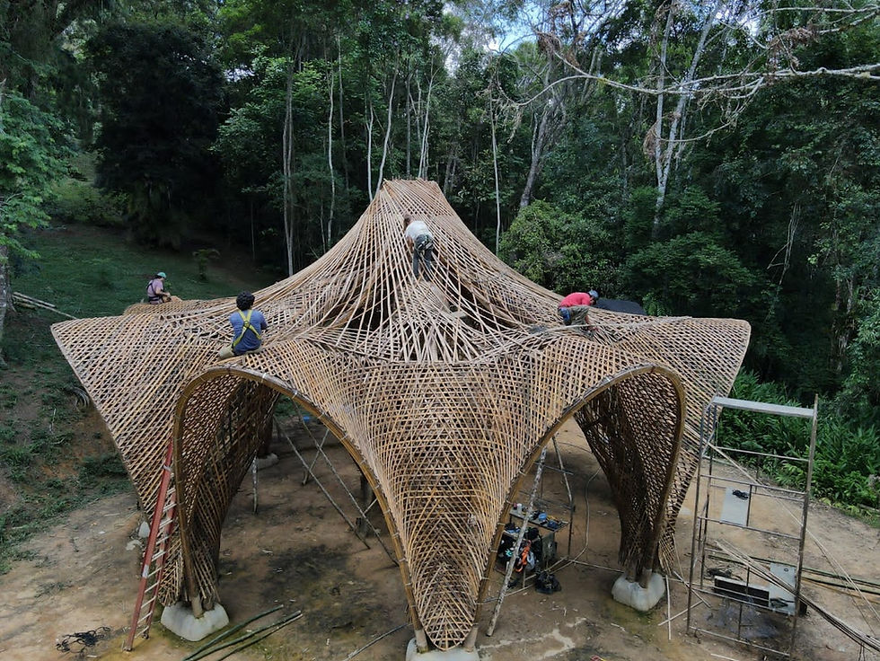 Colibris, Juquitiba (SP), 2022