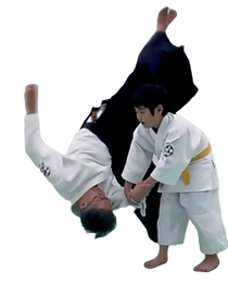IMG_5740_edited_edited.png