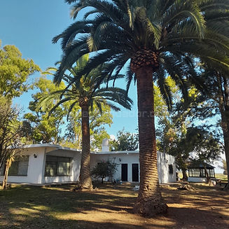 Diseño sin título (18)_edited.jpg