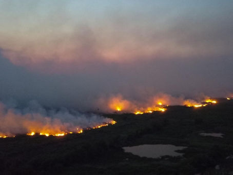 Brasil: Incêndios no Pantanal bateram recorde histórico em Setembro
