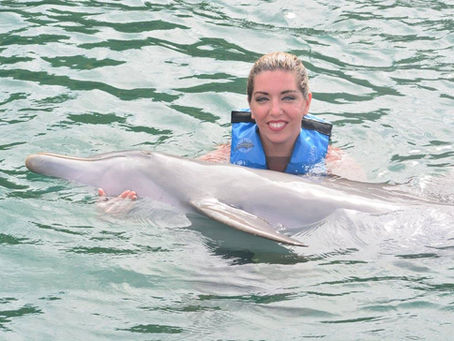Swimming With Dolphins in St. Kitts