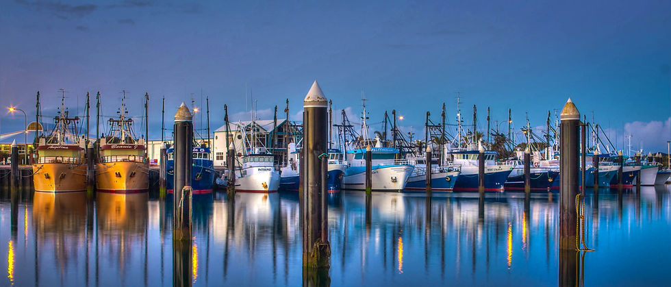 MARITIME COMMERCIAL LITIGATION