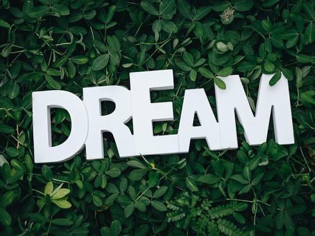 From a dream to reality – The extraordinary journey of SUTA - 2 women entrepreneurs of India