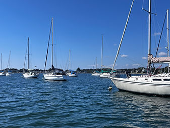 IMG_5528.JPG