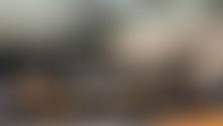 L3 en L4: Bezoek aan het provinciehuis