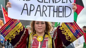 Taking Stock of the Proposal to Codify Gender Apartheid in the Crimes against Humanity Convention